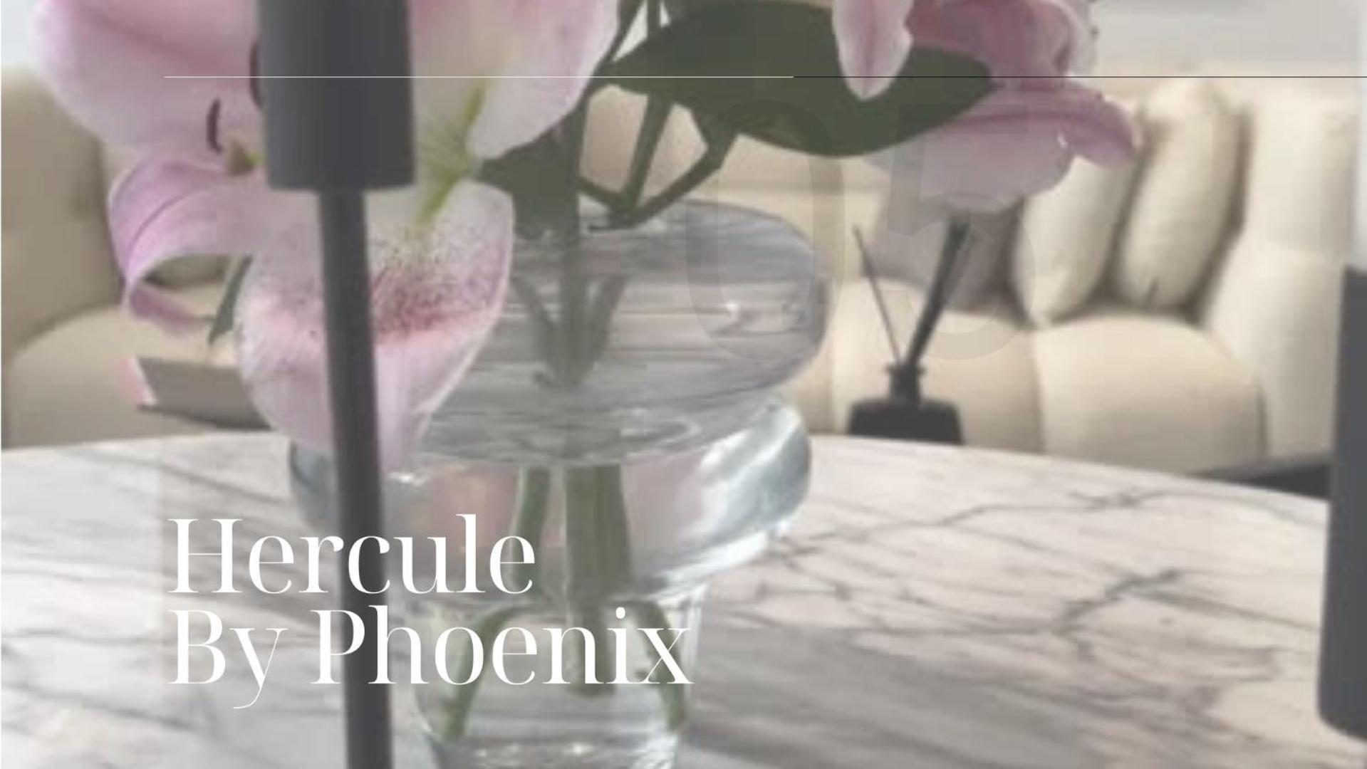 Phoenix Garden Apartment Mons Exterior foto